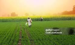 The Farming Revolution