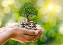 Why Knowing Your Net Worth Is Important