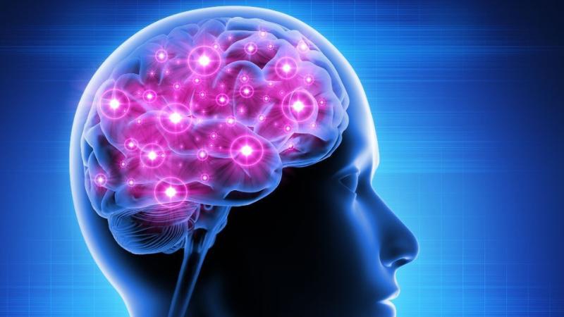 Warning Signs of Memory Problems