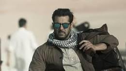Salman House Firing  Accused Inspired By Lawrence Bishnoi's Principles; Says Objective Was
