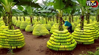 Most Unbelievable Agriculture Machines  Farmers Use Agricultural Machines You Have Never Seen #24