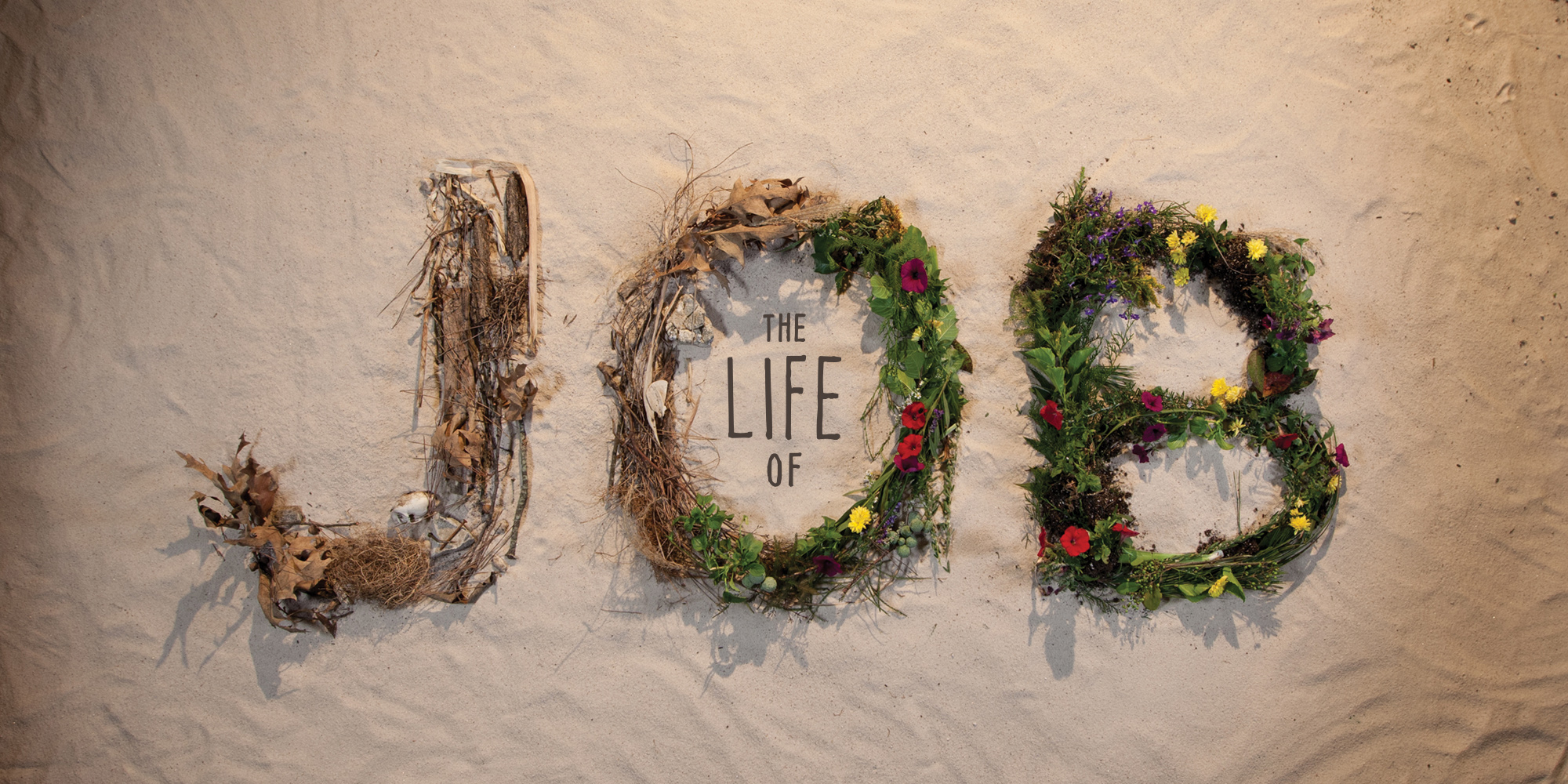 The Life Of Job Series Free Resources For Churches