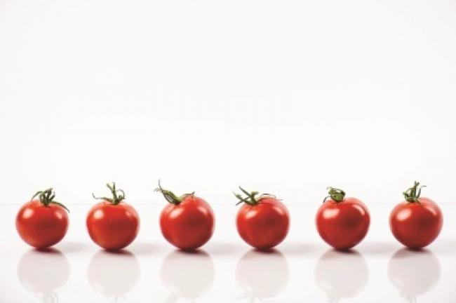 Extension offers course for veggie growers