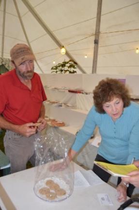 LEFT: Tim Seltzer, left, and Carol Daniels look over the parameters for judging the PA Preferred Junior Baking Contest - Cookies, Brownies and Bars. ABOVE: Eva Eroh took first place in the youth division with her Caramel Bacon Brownies.