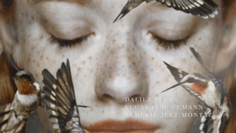 A frame from the title sequence of "Anne with an E." The portrait of Anne and the hummingbirds were painted by Brad Kunkle. IMAGE COURTESY IMAGINARY FORCES