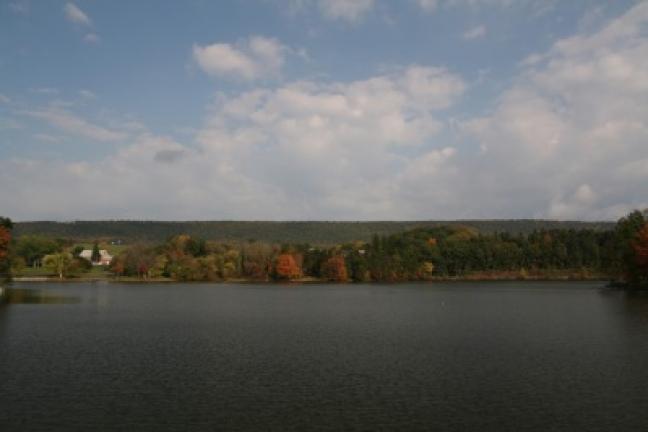 When Schuylkill County gained possession of Sweet Arrow Lake Park, the dam needed major repairs. The lake volume had to be drawn down in order to fix the dam. The area filled with weeds. Repairs on the dam were the first priority for renovations;…