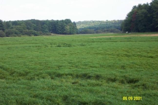 When Schuylkill County gained possession of Sweet Arrow Lake Park, the dam needed major repairs. The lake volume had to be drawn down in order to fix the dam. The area filled with weeds. Repairs on the dam were the first priority for renovations;…