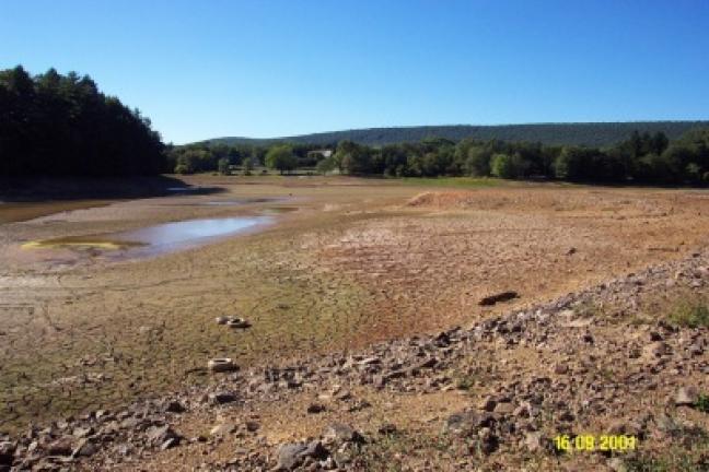When Schuylkill County gained possession of Sweet Arrow Lake Park, the dam needed major repairs. The lake volume had to be drawn down in order to fix the dam. The area filled with weeds. Repairs on the dam were the first priority for renovations;…