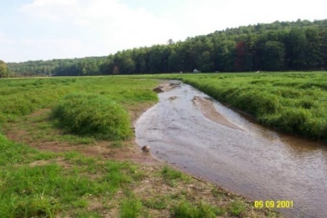 When Schuylkill County gained possession of Sweet Arrow Lake Park, the dam needed major repairs. The lake volume had to be drawn down in order to fix the dam. The area filled with weeds. Repairs on the dam were the first priority for renovations;…