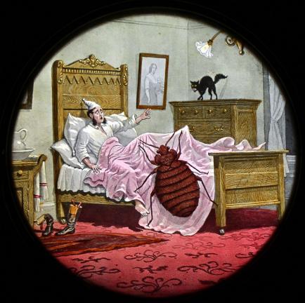 Victorian Halloween Magic-Lantern Show wll be held Saturday at the Mauch Chunk Opera House.