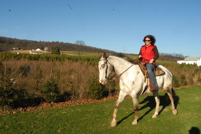 RON GOWER/TIMES NEWS