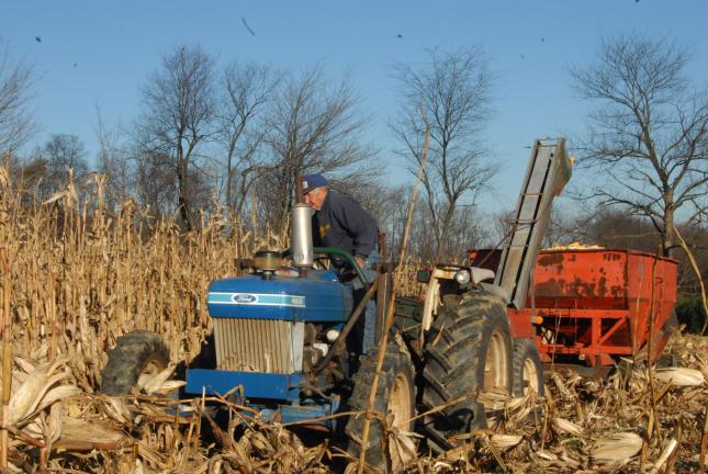 RON GOWER/TIMES NEWS