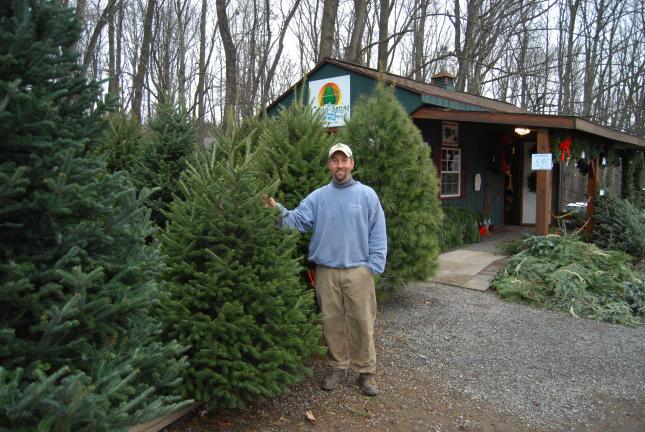 RON GOWER/TIMES NEWS Chris Botek, whose family owns Crystal Spring Tree Farm in Mahoning Township, stands next to Christmas trees on his farm. For the 13th time in 15 years, the farm is supplying the tree for the Capitol Rotunda in Harrisburg.