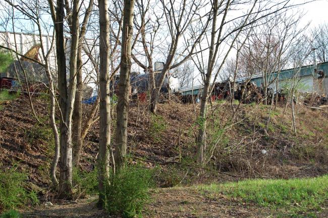 ELSA KERSCHNER/TIMES NEWS This is what we come home to every night, said Jai Mertz, who lives behind the Clair Troxell property in East Penn Township. He said Easter visitors described the view as ugly. A building has graffiti that includes curse…