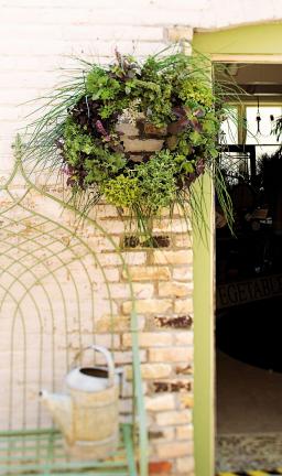 AP Photo/Fresh Home/Reader's Digest Association Care to go a different tack with your springtime gardening? Plant a living wreath for the front door or garden gate.