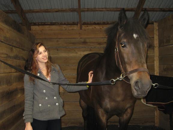 STACEY SOLT/SPECIAL TO THE TIMES NEWS Jessica Mattes, the owner of J. Corrine Enterprise at Hickory Valley Stables in Lehighton, grooms Seiko, a Hungarian Warmblood. A 2012 graduate of Palmerton Area High School, Mattes recently opened J. Corrine…