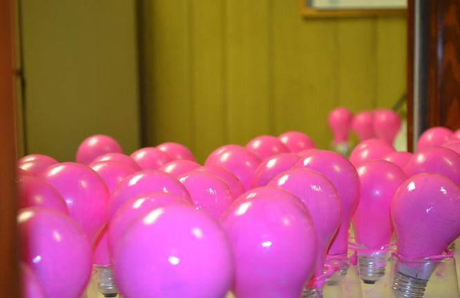 SPECIAL TO THE TIMES NEWSMore than 300 light bulbs were hand painted pink by members of Tamaqua Girl Scout Service Unit 310 in preparation for the Oct. 20 Pink Light Walk in Tamaqua.