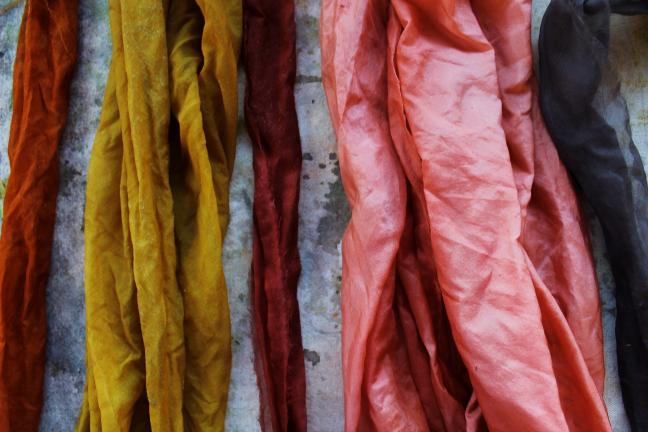 This photo shows a color palette Sasha Duerr has dubbed "compost colors," dyed using onion skins and avocado pits, from left, yellow onion skin and alum salts, yellow onion skin with no mordant, avocado pits and soda ash, avocado pits with no…