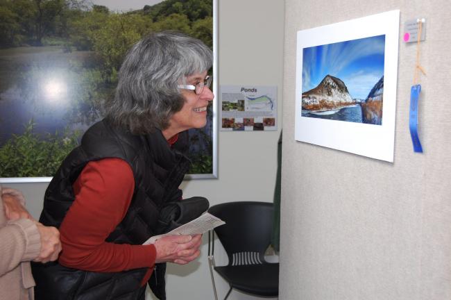 ELSA KERSCHNER/TIMES NEWS  Mary Coover looks at the picture of "Lehigh Gap Nature," which was entered by Andrew Hollywood. She said everything was in such detail. It took first place in the scenic category.