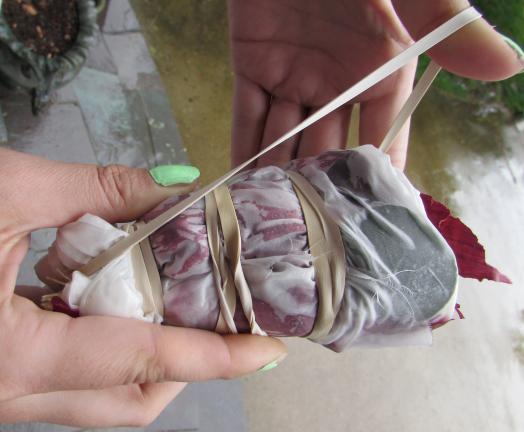 This photo provided by St. Lynn's Press shows step five to create an eco dyed scarf, where you fold the scarf in half over itself and wrap rubber bands tightly all over the bundle. (AP Photo/St. Lynn's Press, Chris McLaughlin)