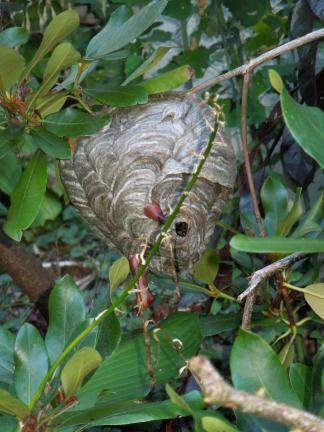 MARTA GOUGER/TIMES NEWS