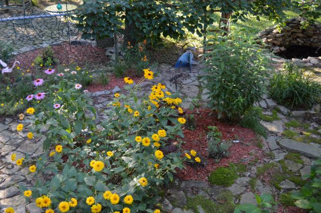 KAREN CIMMS/TIMES NEWS If you enjoy gardening, you might have what it takes to become a master gardener.  Classes start soon for those who are interested in taking it to the next level.