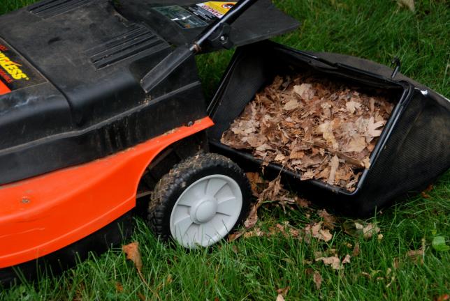 PHOTO COURTESY Melinda Myers, LLC. Shred fall leaves with a mower and leave them on the lawn to add organic matter and nutrients to the soil.