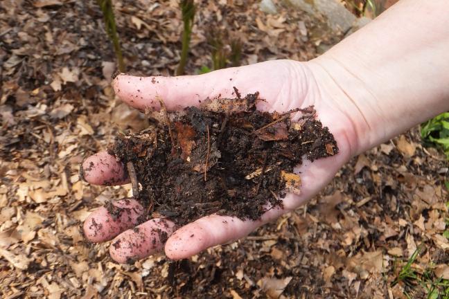 Getting down and dirty