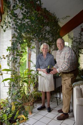 Jan, left, and Slate Altenburg stand next to their  night-blooming cereus, which is the droopy-looking plant in the green pot. When Jan moved the pot to this spot behind the sofa, it began to thrive and bloomed after languishing for 37 years. The…