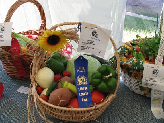 TIMES NEWS FILE PHOTO Winning a blue ribbon at the Carbon County Fair is becoming a family tradition.