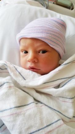 Lincoln James Knauft