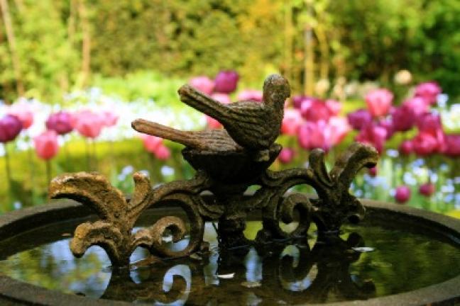 A private garden in rural Belgium, shows an antique birdbath being used to focus attention on an array of blooming bulbs. Garden antiques can be made of wicker, metal or stone and range from pergolas to fountains, outdoor furniture to gates. DEAN…