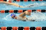 nancy scholz/special to the times news Palmerton's Shea Solt competes in the 500 freestyle at the PIAA Swimming Championships on Saturday. Solt finished fourth in the event.