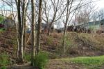 ELSA KERSCHNER/TIMES NEWS This is what we come home to every night, said Jai Mertz, who lives behind the Clair Troxell property in East Penn Township. He said Easter visitors described the view as ugly. A building has graffiti that includes curse…