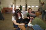 Gail Maholick/TIMES NEWS Knuckles, a rottweiler/husky/lab mix, receives a rabies vaccination from Dr. Cheryl Lagana, left. Her owner is April Volovski, center. Assisting with restraining Knuckles is Pat Roudi, Volovski's friend.