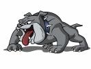 Northern Lehigh High School introduced a new Bulldog logo for its athletic teams.