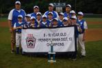 Ron Gower/TIMES NEWS Members of the Tamaqua Blue, which won the District 18 9-10 year old Little League championship last night in Jim Thorpe, stand behind championship banner.