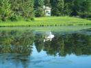 Gail Maholick/TIMES NEWS A lone plastic swan floats in the middle of a pond at the Phifer Ice Dam Park. Whether the lone swan is keeping the geese away or whether it's because of the Franklin Township Police Department's efforts is up for discussion.