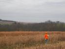 Beginning October 25 those hunting all species of small game will be sharing Pennsylvania's field and woods with archery deer hunters.