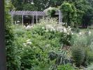 AP Photo The white garden at the Snug Harbor Cultural Center & Botanical Garden in Staten Island, New York, includes white-flowering  varieties of many plants, shrubs and trees. It was inspired by a historic white garden at Sissinghurst Castle in…
