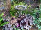 Dean Fosdick via AP A cluster of heuchera and their assortment of long-blooming flower spikes provide color and texture against a birdbath, tree and split rail fence and make for easier, more  efficient watering on a property near Langley, Washington.