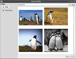 Download Images from Flickr and other webpages