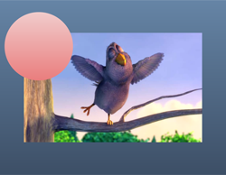 Insert Videos and Shapes