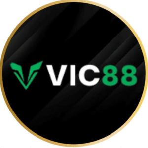 vic88codes's avatar