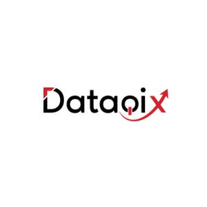 DataQix's avatar