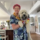 <span class="user-name "><span class="user-name__text">Doranne Hipp</span></span>
