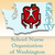 The School Nurse Organization of Washington