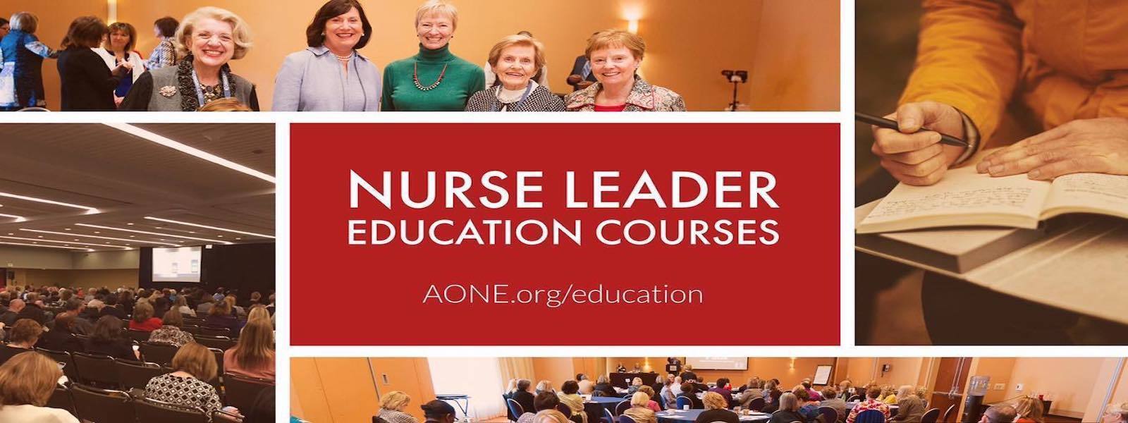 The Dayton Ohio Organization for Nurse Leaders Nursing Network