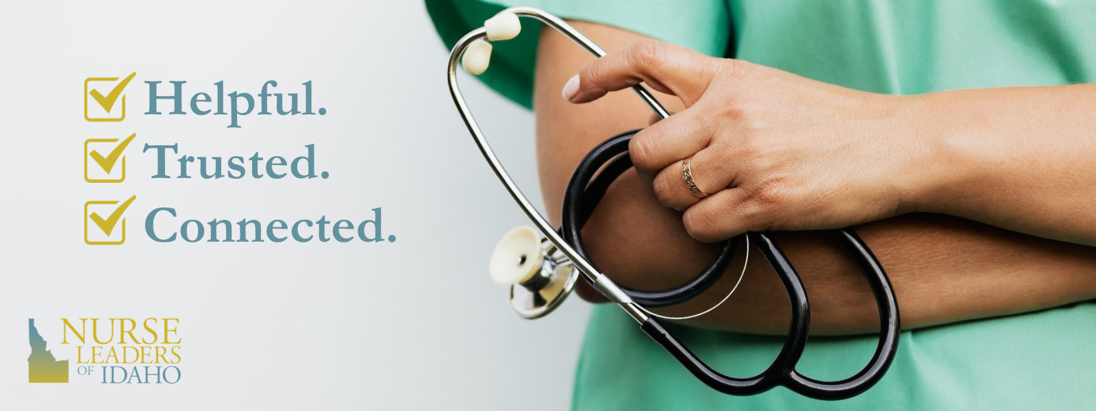 Nurse Leaders of Idaho Nursing Network