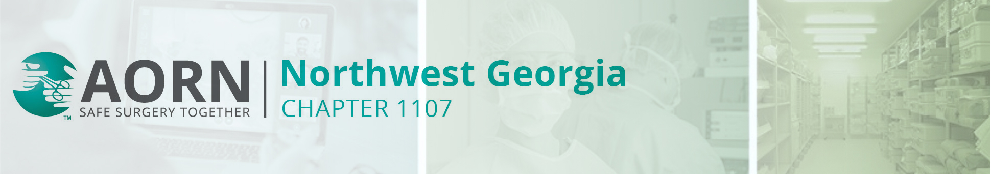 Chapters 1107 and 1101 Combined Meeting | AORN Northwest Georgia ...